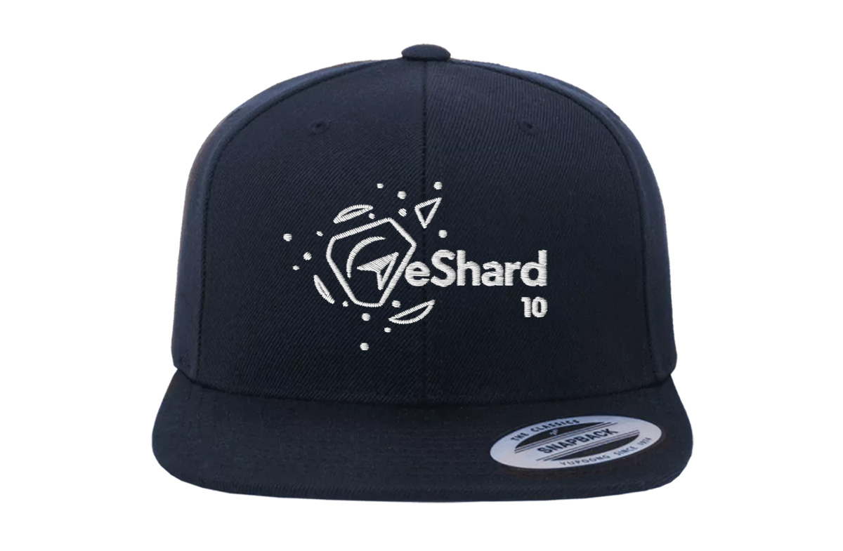 illustration 10 ans eshard-04